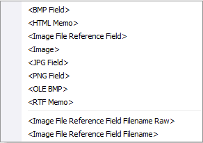 Special Formats are built-in for Memo field and images
